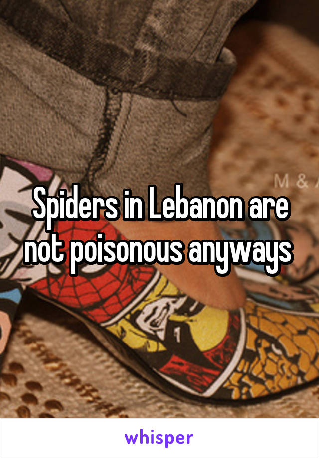 Spiders in Lebanon are not poisonous anyways 