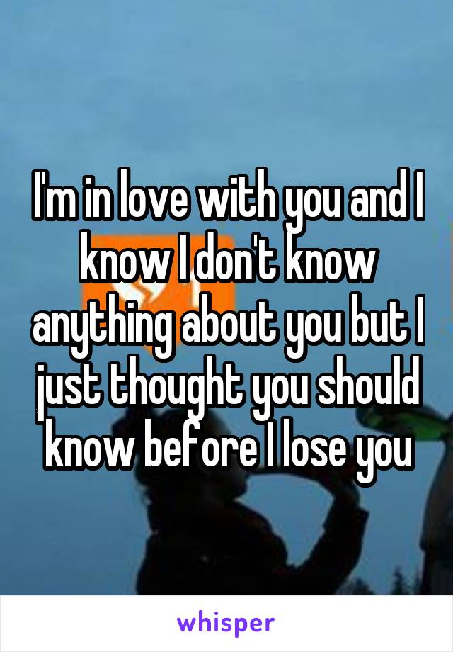 I'm in love with you and I know I don't know anything about you but I just thought you should know before I lose you