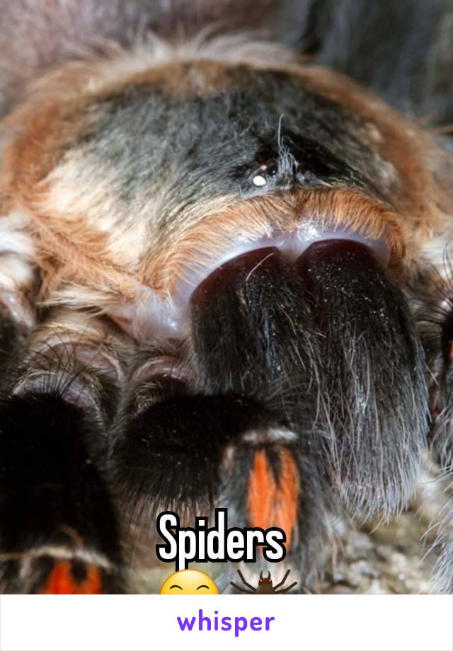 Spiders 
😶🕷