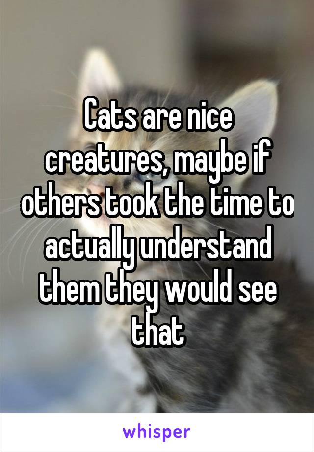 Cats are nice creatures, maybe if others took the time to actually understand them they would see that