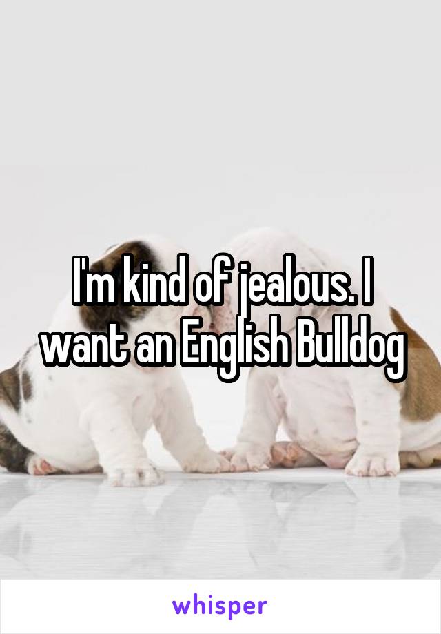 I'm kind of jealous. I want an English Bulldog