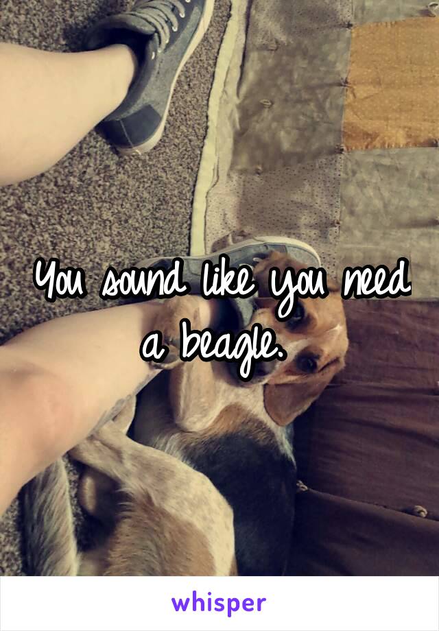 You sound like you need a beagle. 