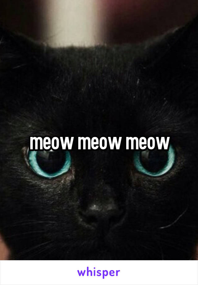 meow meow meow