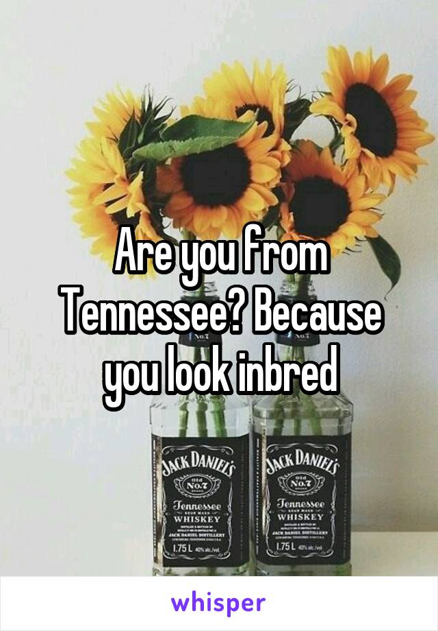 Are you from Tennessee? Because you look inbred