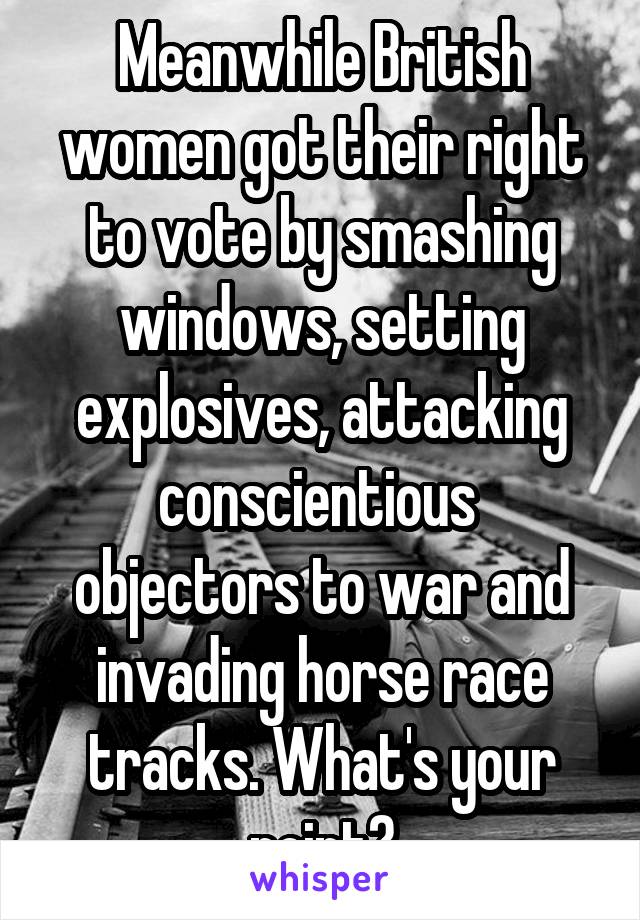 Meanwhile British women got their right to vote by smashing windows, setting explosives, attacking conscientious  objectors to war and invading horse race tracks. What's your point?