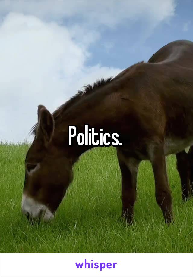 Politics. 