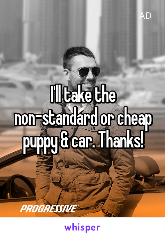 I'll take the non-standard or cheap puppy & car. Thanks!