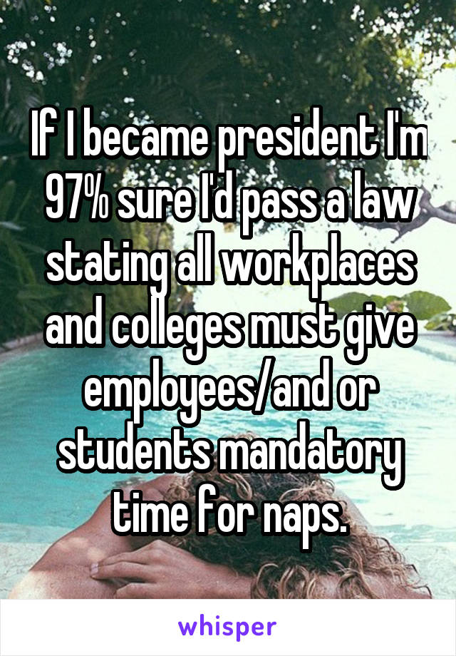 If I became president I'm 97% sure I'd pass a law stating all workplaces and colleges must give employees/and or students mandatory time for naps.