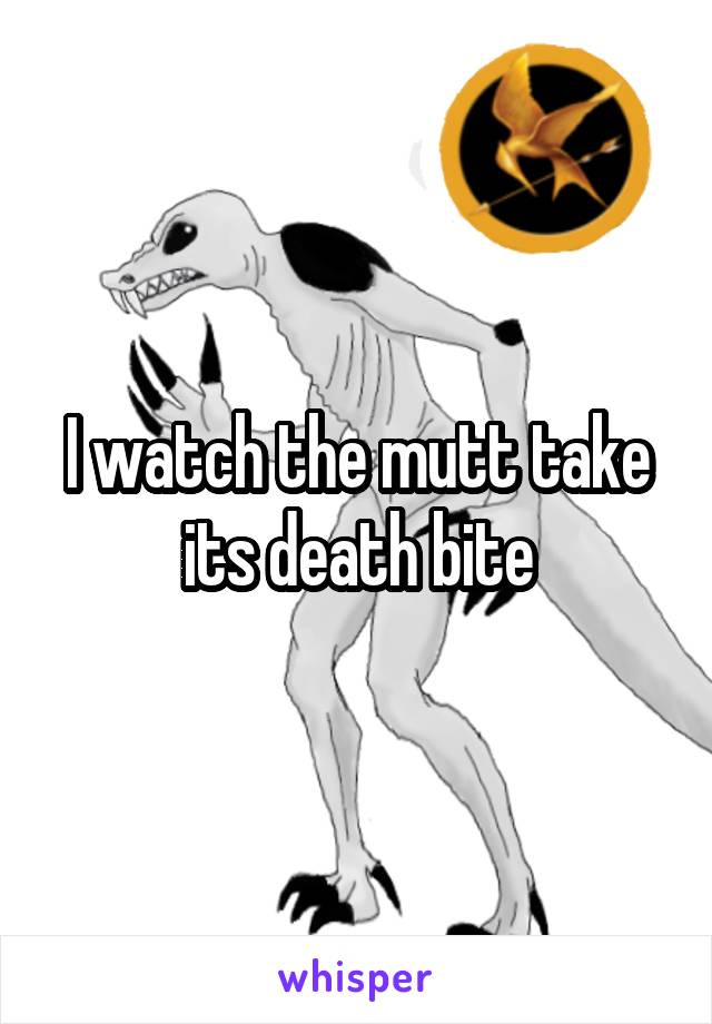 I watch the mutt take its death bite