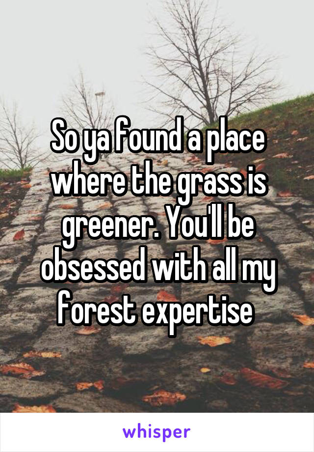 So ya found a place where the grass is greener. You'll be obsessed with all my forest expertise 