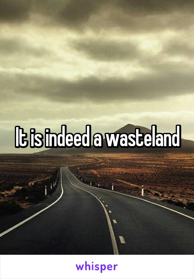 It is indeed a wasteland