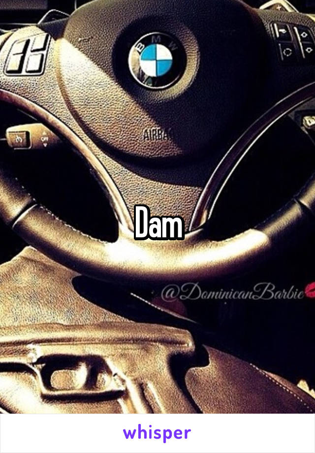 
Dam