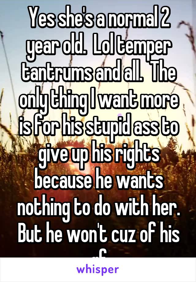 Yes she's a normal 2 year old.  Lol temper tantrums and all.  The only thing I want more is for his stupid ass to give up his rights because he wants nothing to do with her. But he won't cuz of his gf