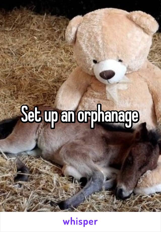 Set up an orphanage 