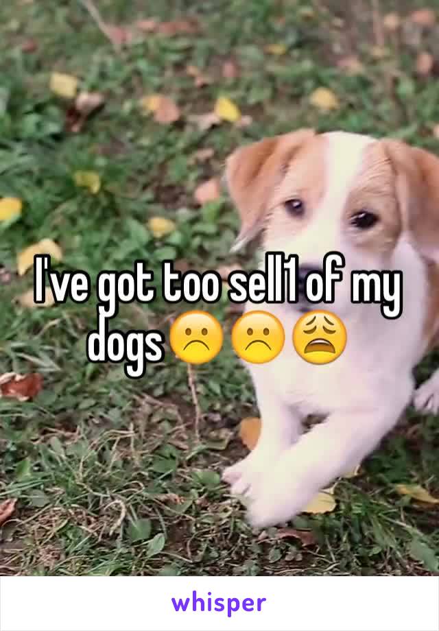 I've got too sell1 of my dogs☹️☹️😩