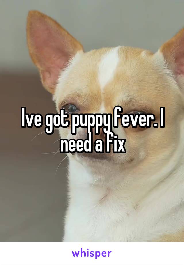 Ive got puppy fever. I need a fix