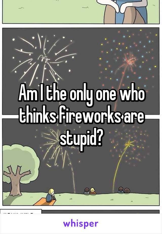 Am I the only one who thinks fireworks are stupid?