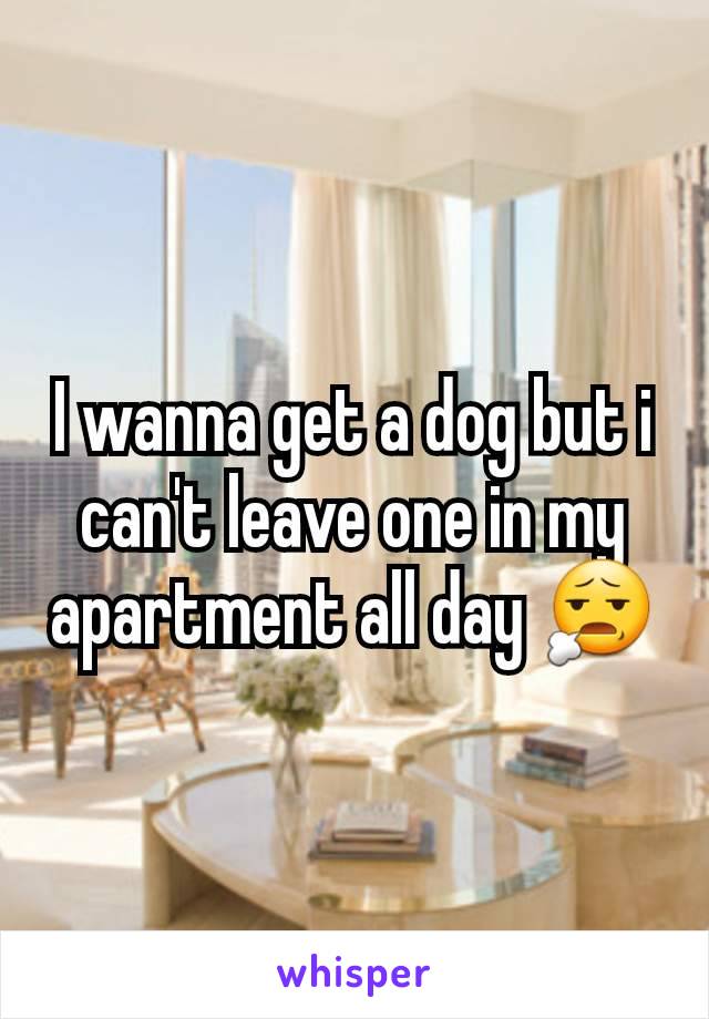 I wanna get a dog but i can't leave one in my apartment all day 😧