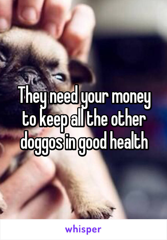 They need your money to keep all the other doggos in good health