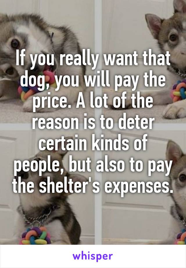 If you really want that dog, you will pay the price. A lot of the reason is to deter certain kinds of people, but also to pay the shelter's expenses. 