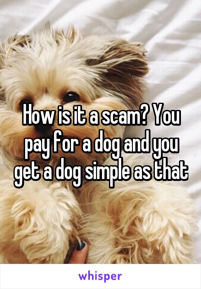 How is it a scam? You pay for a dog and you get a dog simple as that