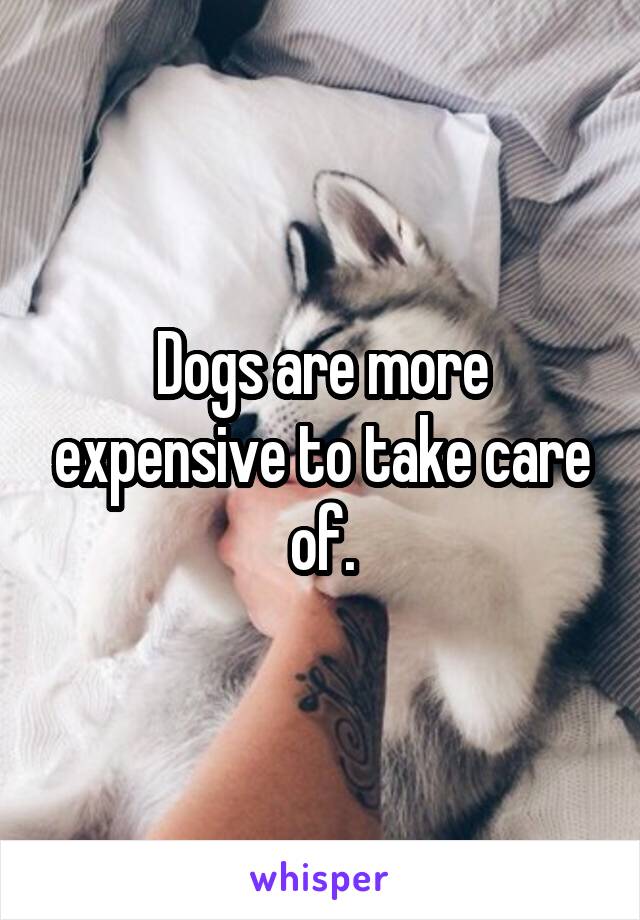 Dogs are more expensive to take care of.