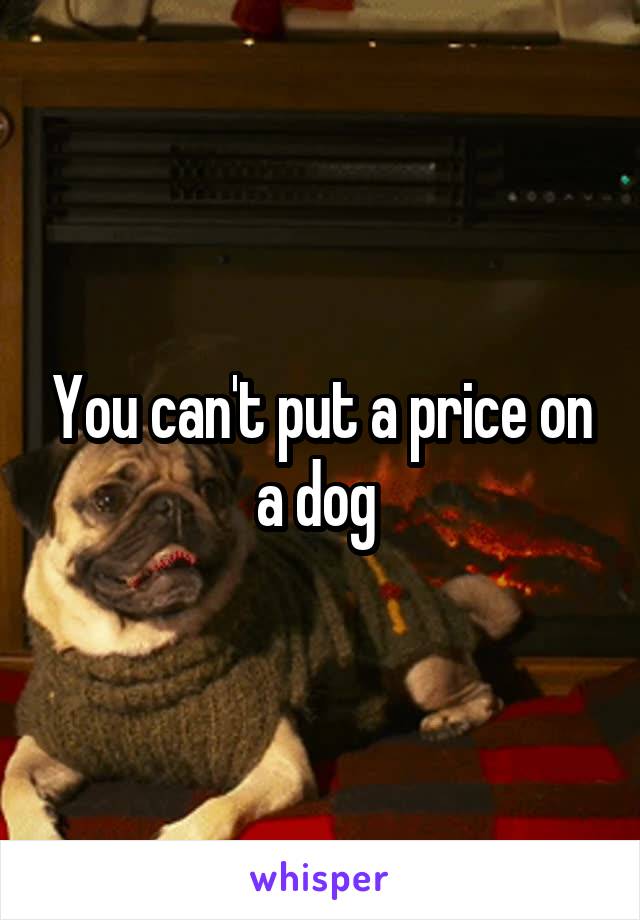 You can't put a price on a dog 