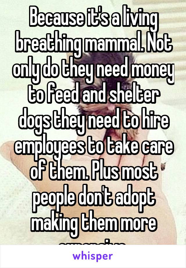 Because it's a living breathing mammal. Not only do they need money to feed and shelter dogs they need to hire employees to take care of them. Plus most people don't adopt making them more expensive 