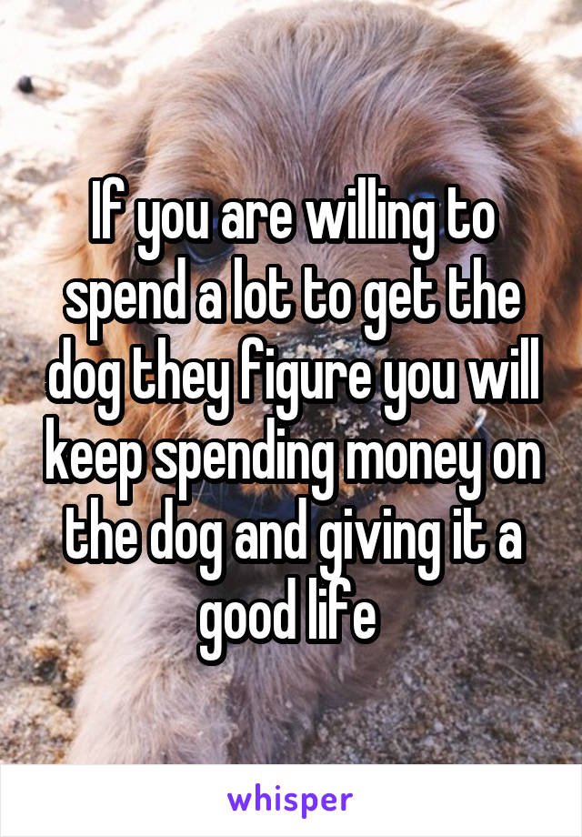 If you are willing to spend a lot to get the dog they figure you will keep spending money on the dog and giving it a good life 