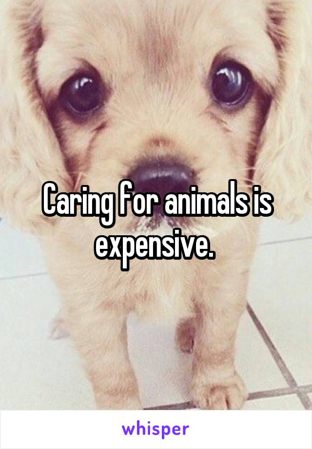 Caring for animals is expensive. 