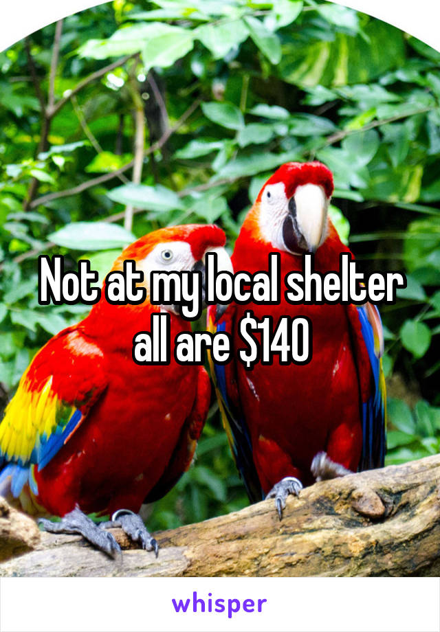 Not at my local shelter all are $140