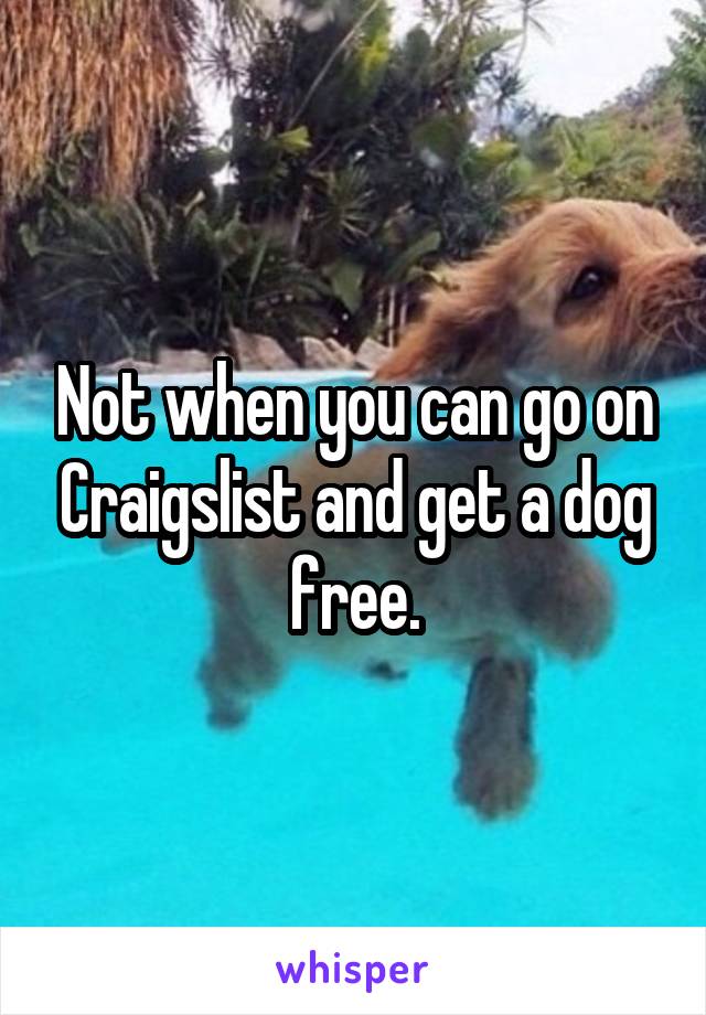 Not when you can go on Craigslist and get a dog free.