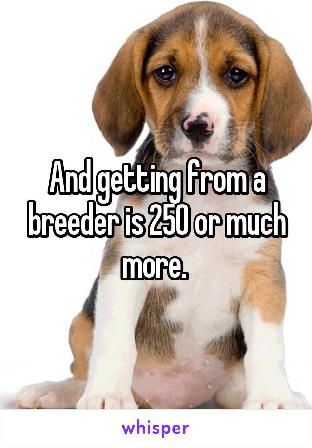 And getting from a breeder is 250 or much more. 