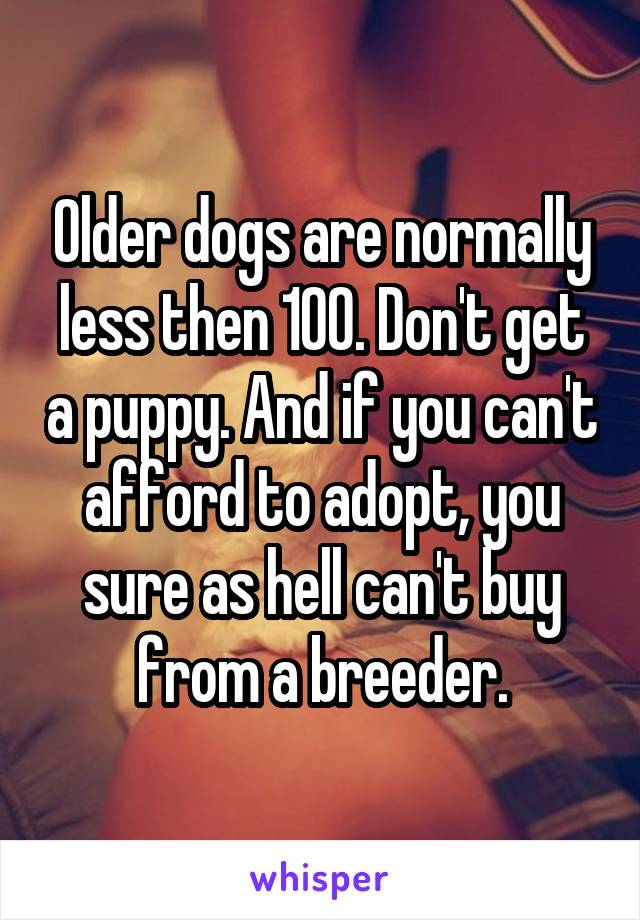 Older dogs are normally less then 100. Don't get a puppy. And if you can't afford to adopt, you sure as hell can't buy from a breeder.