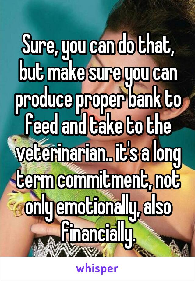 Sure, you can do that, but make sure you can produce proper bank to feed and take to the veterinarian.. it's a long term commitment, not only emotionally, also financially.