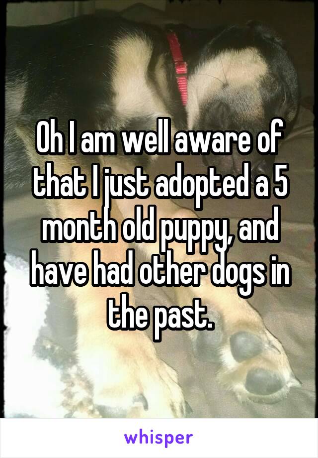 Oh I am well aware of that I just adopted a 5 month old puppy, and have had other dogs in the past.