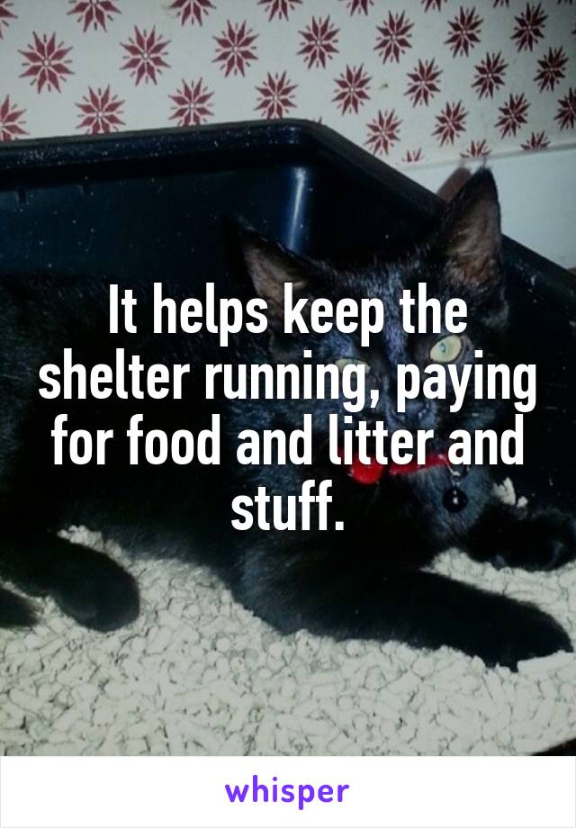 It helps keep the shelter running, paying for food and litter and stuff.