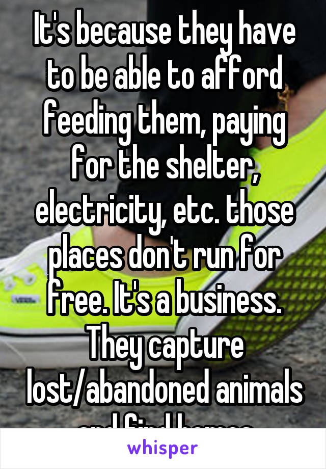 It's because they have to be able to afford feeding them, paying for the shelter, electricity, etc. those places don't run for free. It's a business. They capture lost/abandoned animals and find homes