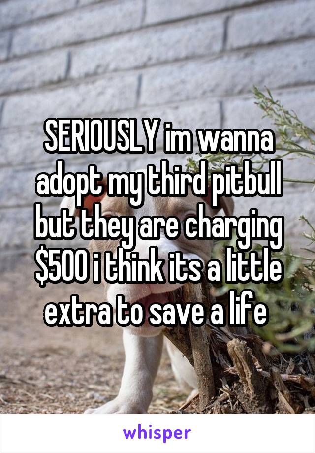 SERIOUSLY im wanna adopt my third pitbull but they are charging $500 i think its a little extra to save a life 