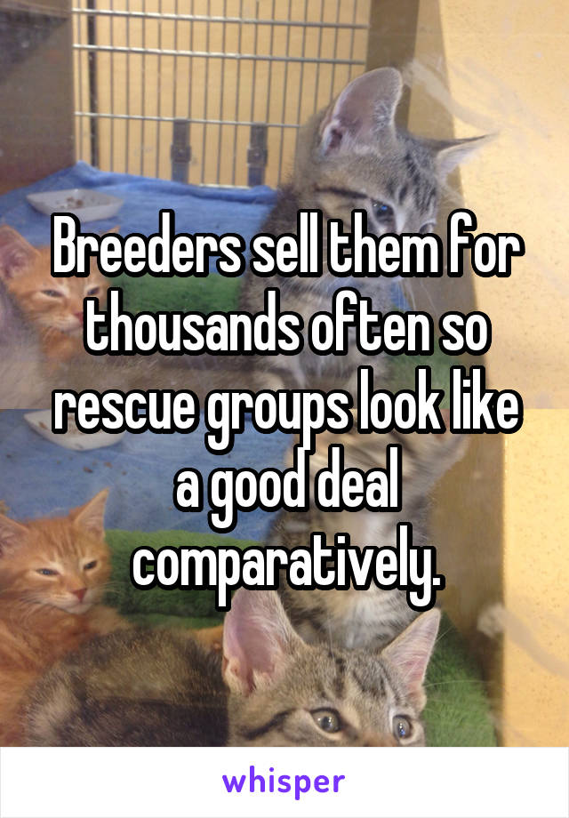 Breeders sell them for thousands often so rescue groups look like a good deal comparatively.