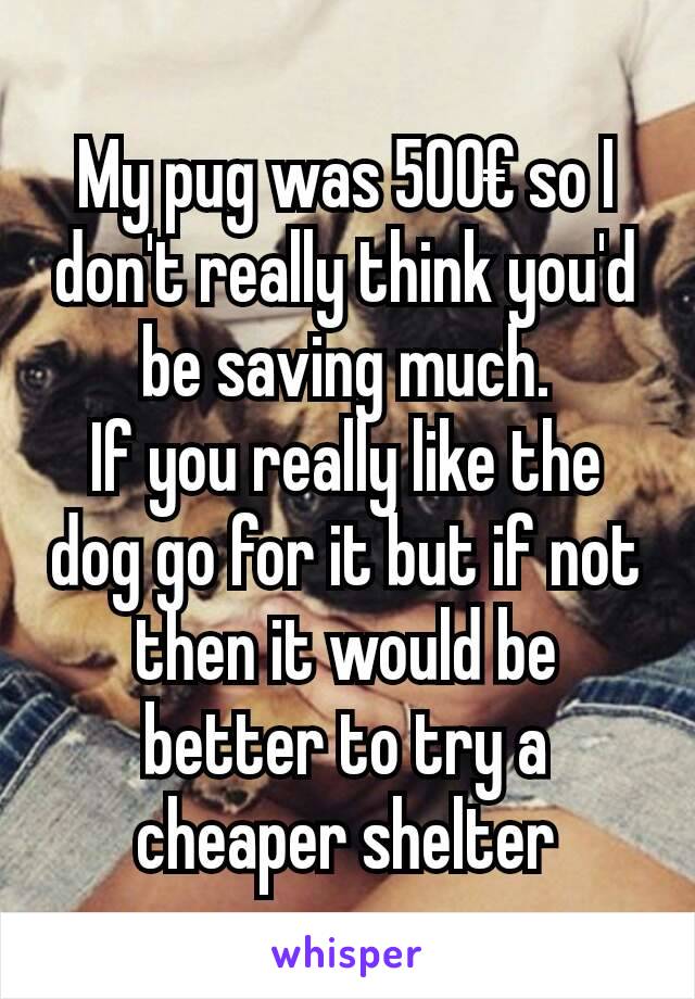 My pug was 500€ so I don't really think you'd be saving much.
If you really like the dog go for it but if not then it would be better to try a cheaper shelter