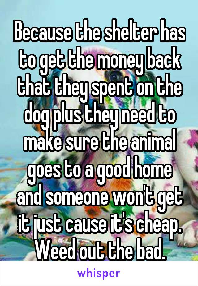 Because the shelter has to get the money back that they spent on the dog plus they need to make sure the animal goes to a good home and someone won't get it just cause it's cheap. Weed out the bad.