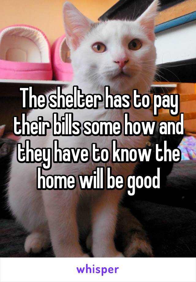 The shelter has to pay their bills some how and they have to know the home will be good