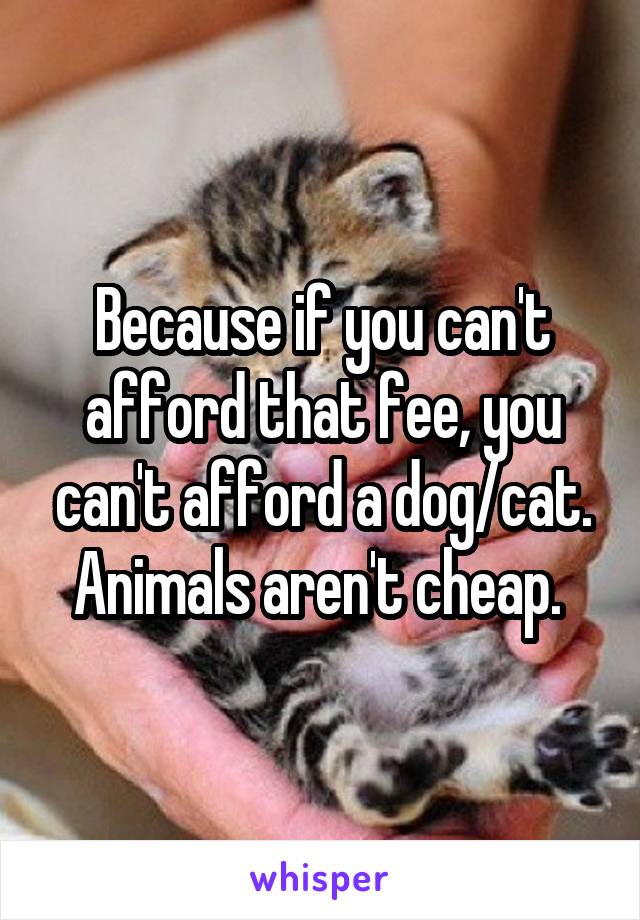 Because if you can't afford that fee, you can't afford a dog/cat. Animals aren't cheap. 