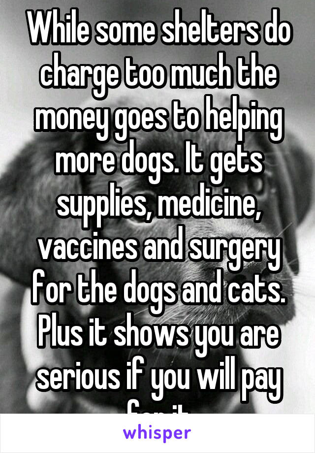 While some shelters do charge too much the money goes to helping more dogs. It gets supplies, medicine, vaccines and surgery for the dogs and cats. Plus it shows you are serious if you will pay for it