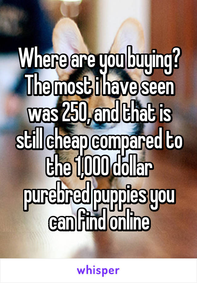 Where are you buying? The most i have seen was 250, and that is still cheap compared to the 1,000 dollar purebred puppies you can find online