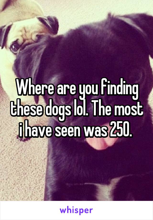 Where are you finding these dogs lol. The most i have seen was 250. 