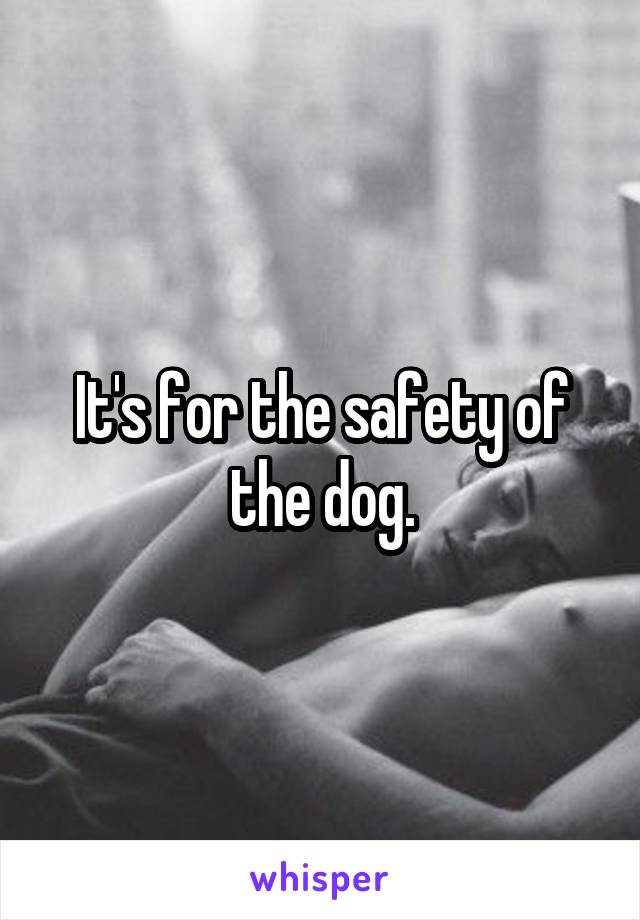 It's for the safety of the dog.