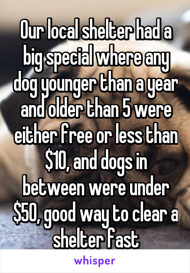 Our local shelter had a big special where any dog younger than a year and older than 5 were either free or less than $10, and dogs in between were under $50, good way to clear a shelter fast