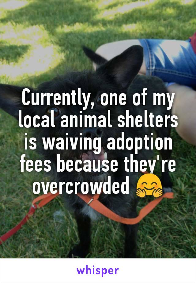 Currently, one of my local animal shelters is waiving adoption fees because they're overcrowded 🤗